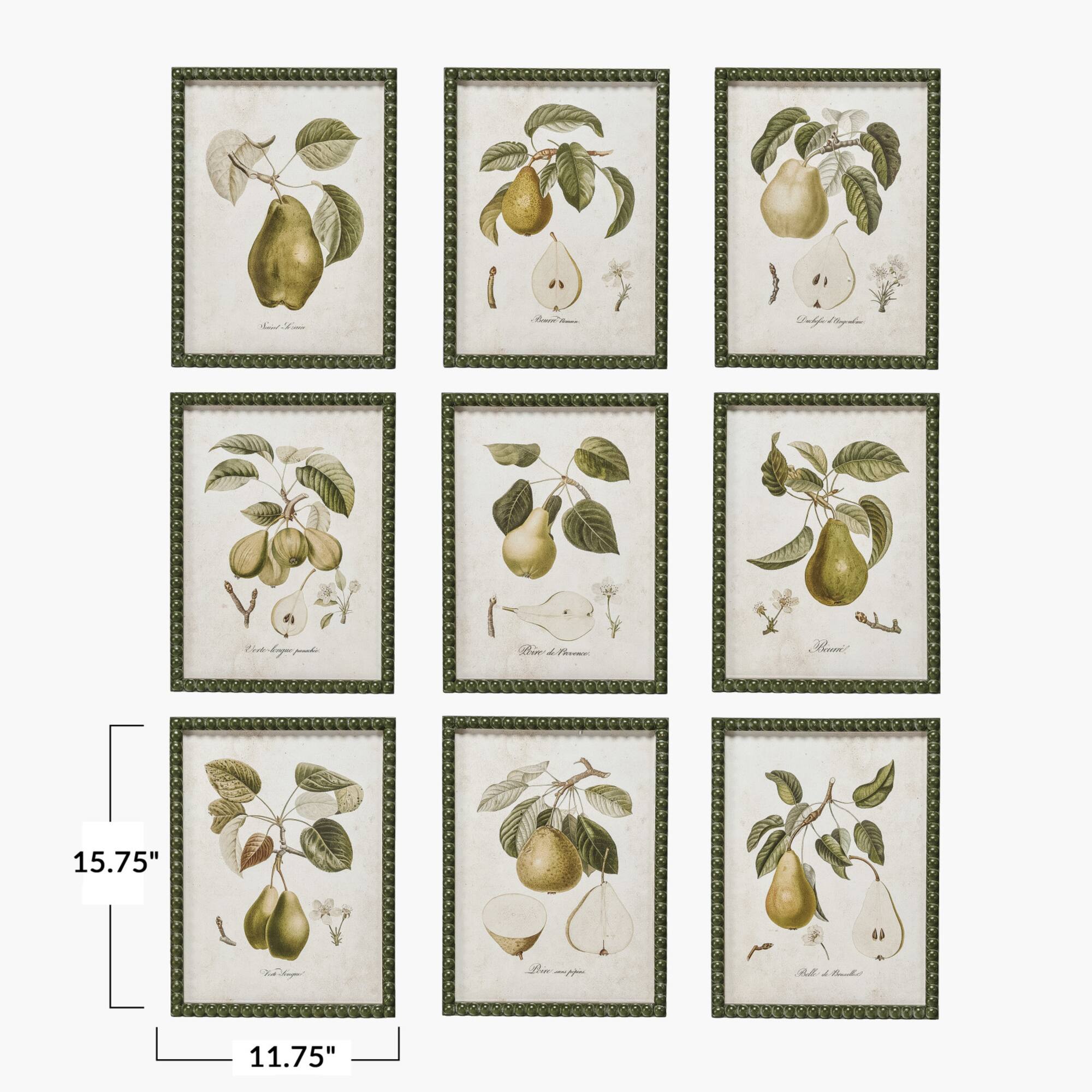 Hello Honey® 11.75" x 15.75" Orchard Essence Pear Print Collection Wall Art Set